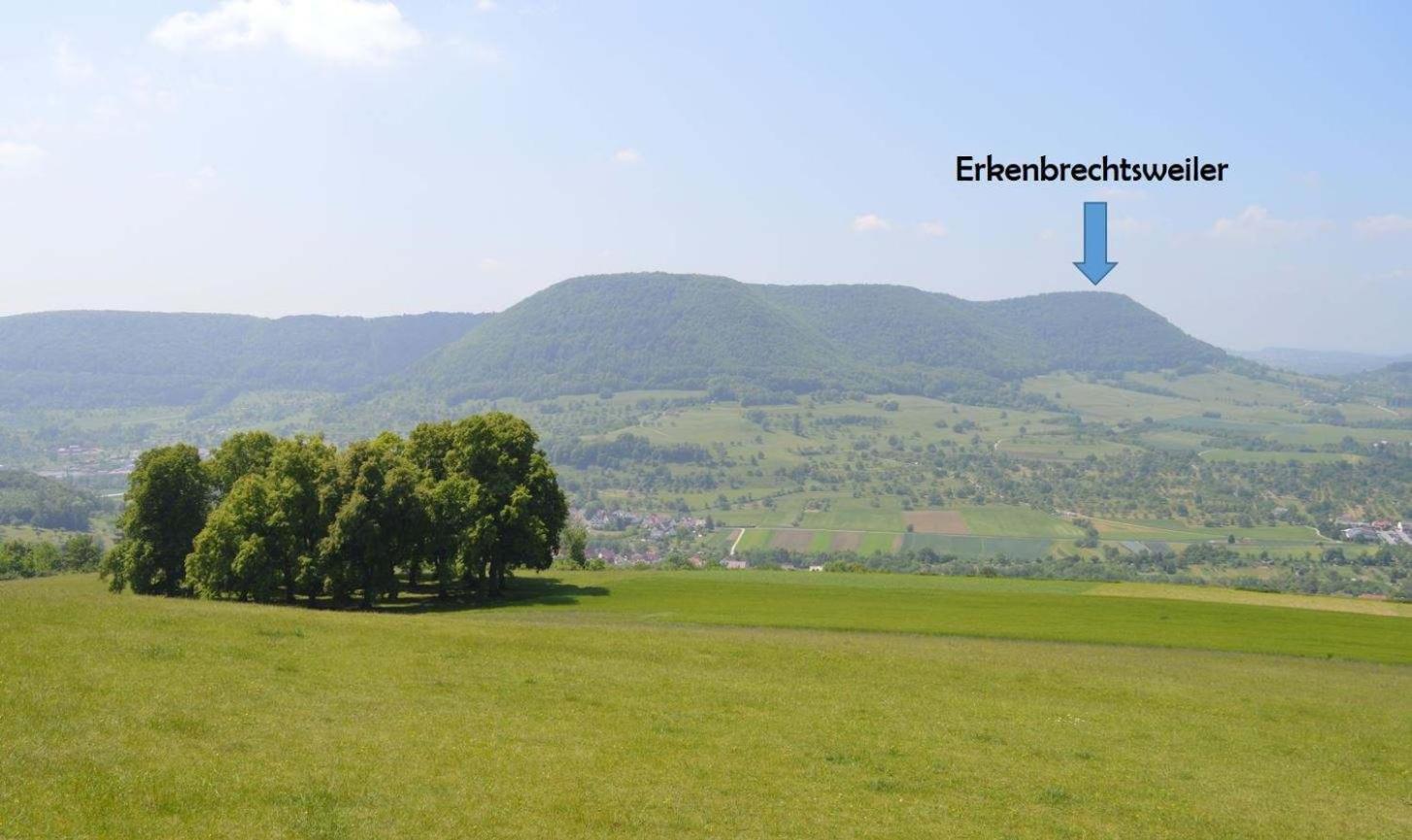 Fewo-Alb-Traum Erkenbrechtsweiler Exterior photo